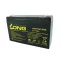 Baterie SAGA 6V - 12A FRX