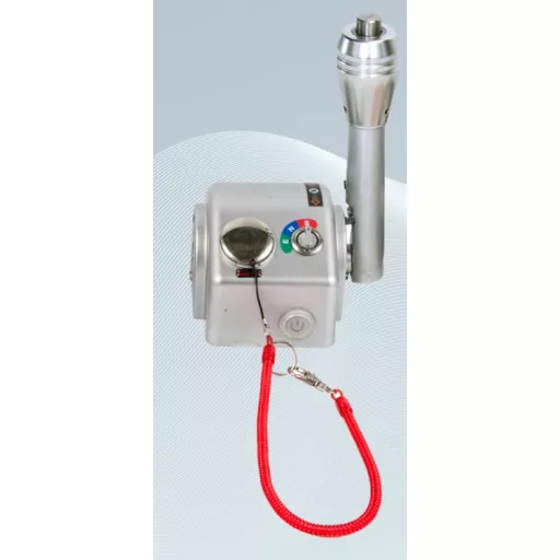 Motor electric Golden EZ-X20 POD