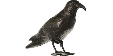 Pescăruș alarmă corb 38 cm plastic ASH