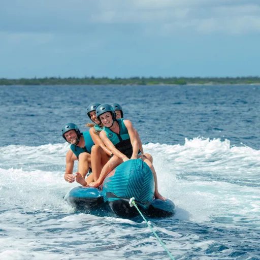Tub Jobe Chaser 4P