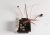 Haswing Cayman B80 PCB Electronics Kit HSW