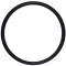 Haswing O-ring pentru Protruar 1,2,3, Ultima HSW