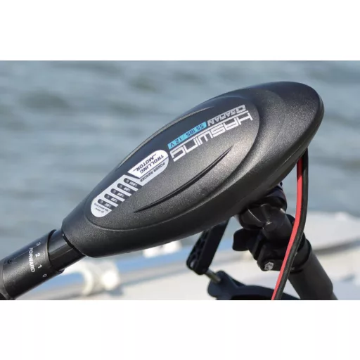 Haswing Osapian 55