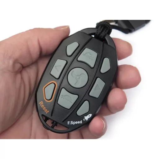 Haswing Cayman T 55 cu telecomandă