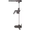 Haswing Protruar 3.0 110 LBS 12V