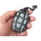 Haswing Cayman B GPS telecomandă ALP