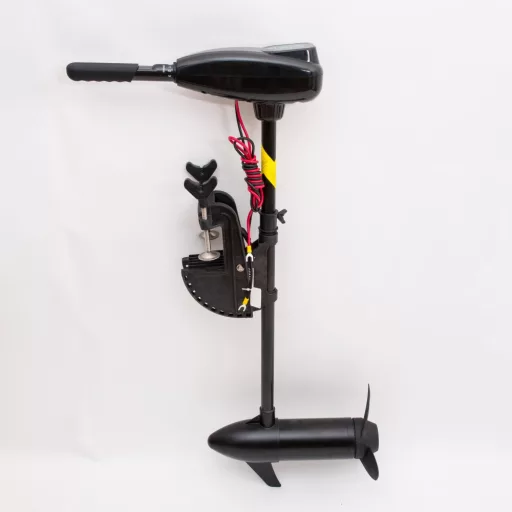 Dawn Marine motor electric 55 lbs