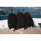 Fender capac albastru închis pentru F-4 Fender CTR
