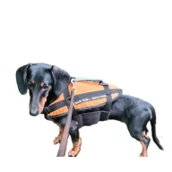 Veste de salvare câine L dimensiune 15-40 kg LIN
