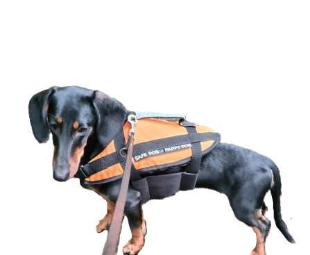 Veste de salvare câine L dimensiune 15-40 kg LIN