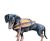 Veste de salvare câine L dimensiune 15-40 kg LIN