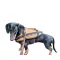 Veste de salvare câine L dimensiune 15-40 kg LIN