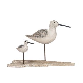 Păsări de apă fatalpon VVL