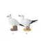 Pescăruș decorativ 25cm VVL