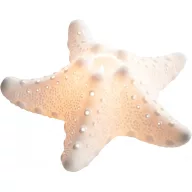 Suport lumânare stea de mare VVL