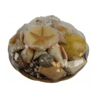 Coș plin de scoici VVL