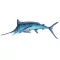 Cardfish 82cm VVL