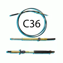 C36 Trenul Bovden